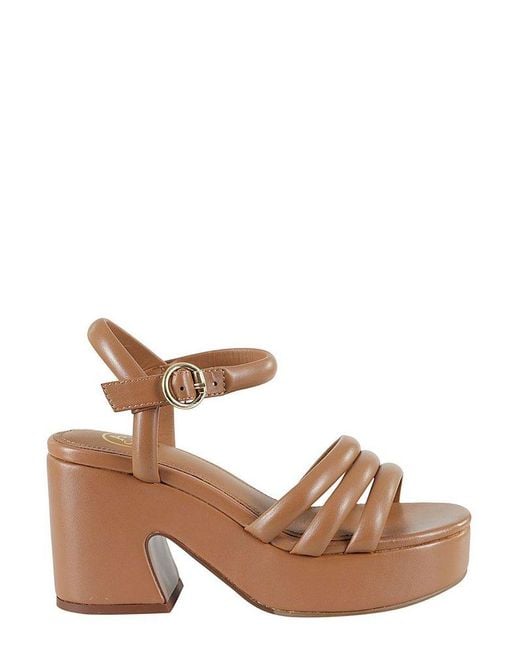 Ash Brown Buckle Fastened Heeled Sandals