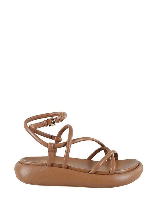Ash Brown Vice Ankle Strap Sandals