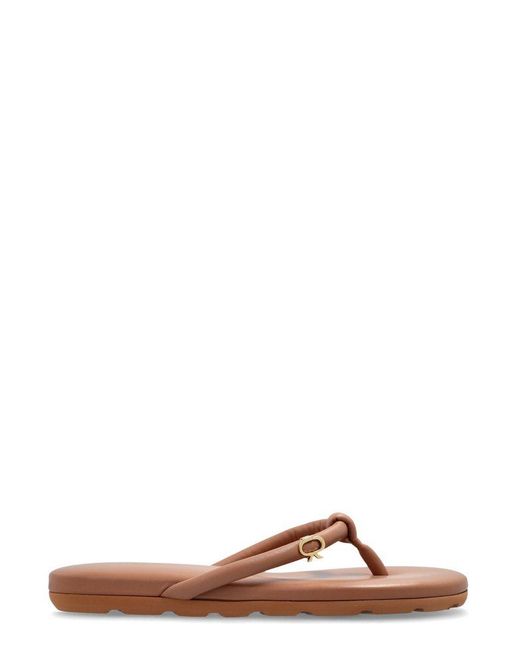 Gianvito Rossi Brown Simple Thong Sandals