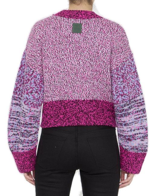 Loewe Pink Multi-thread Mouliné Wool Sweater