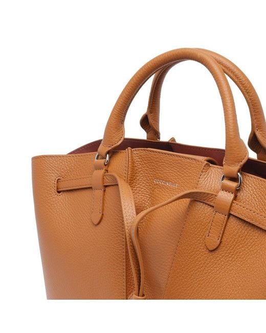 Coccinelle Brown Bags