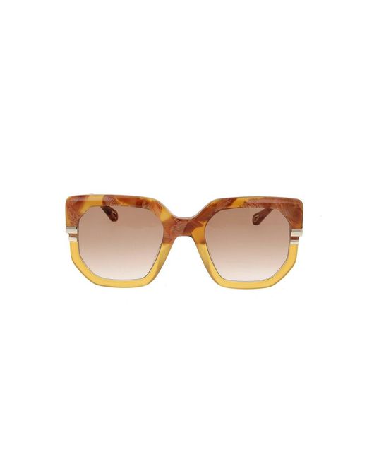 Chloé Multicolor Oversized Square Frame Sunglasses
