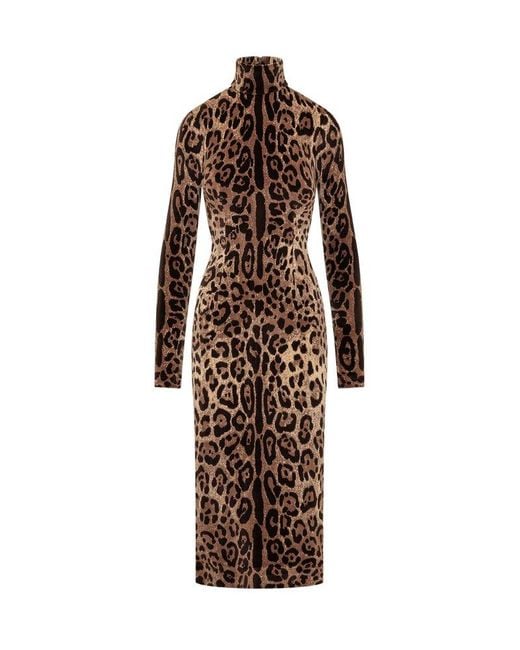 Dolce & Gabbana Brown Leo Print Dress