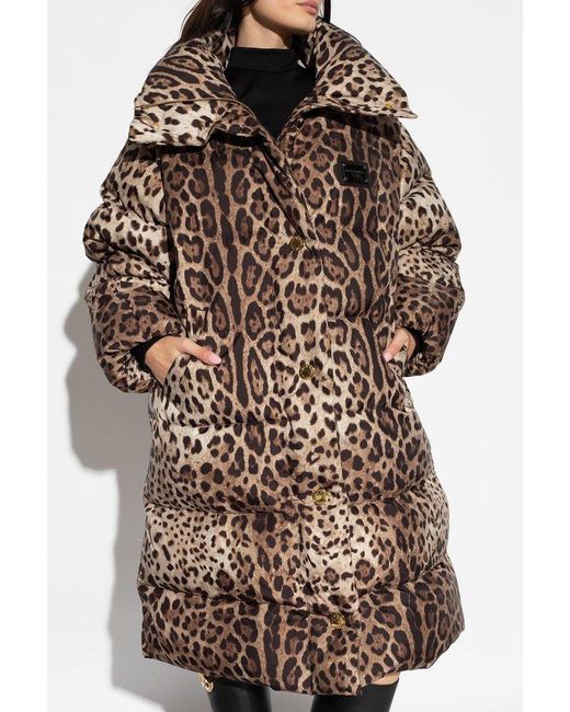 Dolce & Gabbana Brown Leopard-Print Oversize Padded Coat