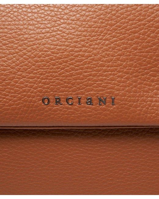 Orciani Brown Strapped Sveva Sense Scooby Small Handbag