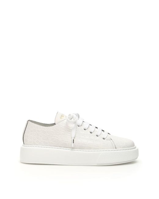 deadstock yeezy zebra