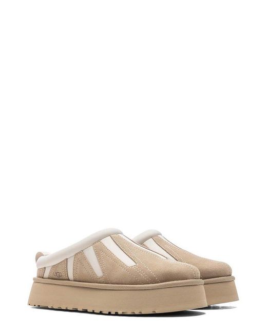Ugg Brown Tazz Sunwave Slippers