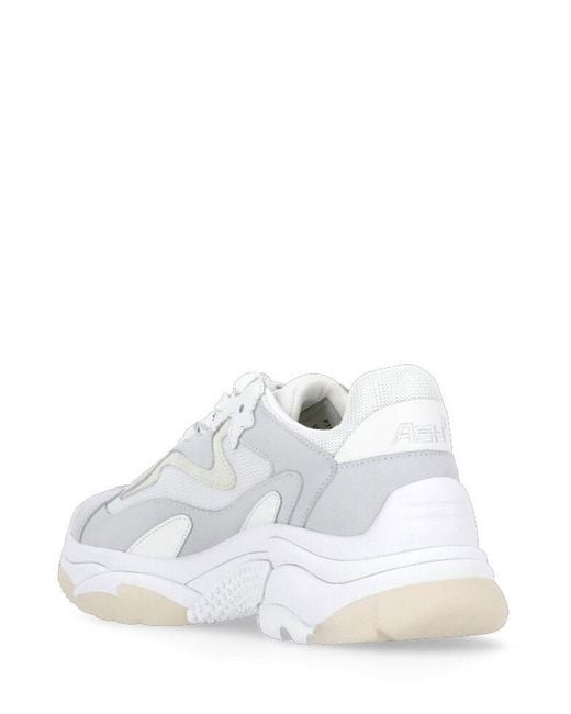 Ash White Addict Lace-up Sneakers