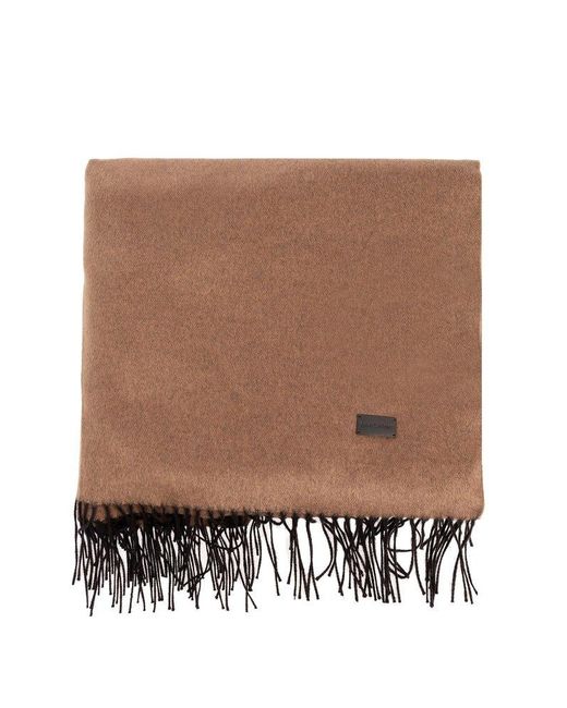 Saint Laurent Brown Scarf With Logo