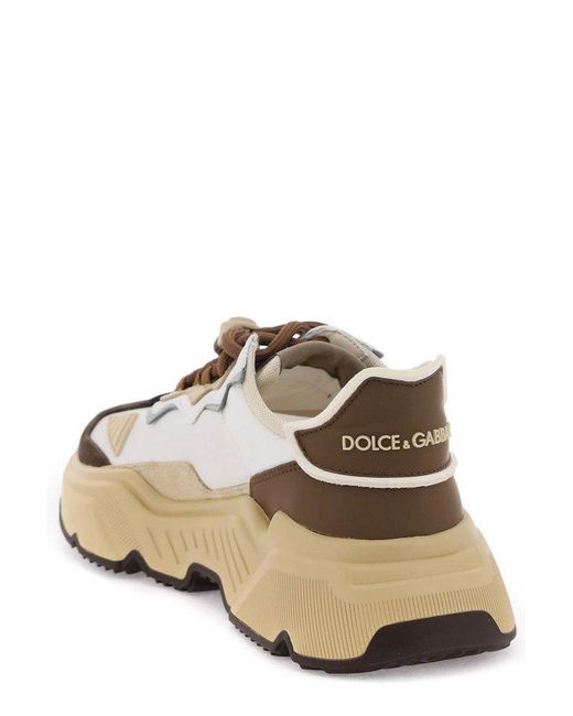 Dolce & Gabbana Brown Daymaster Canvas & Leather Sneaker