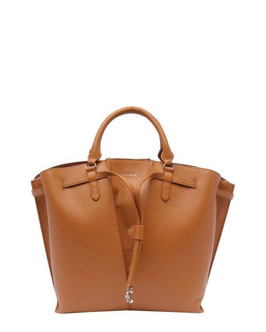 Coccinelle Brown Bags