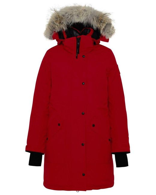 ellesmere parka canada goose