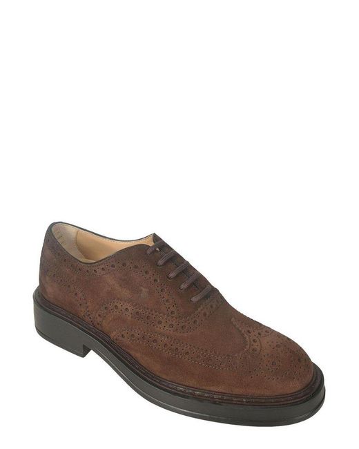 pointed brogues
