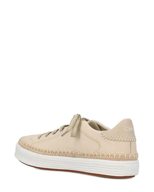 Chloe low top best sale sneakers