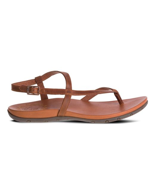 chaco rowan thong sandal