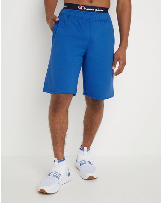 Champion Powerblend Fleece Shorts in 