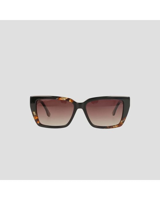 Champion Brown Polarized Slim Rectangle