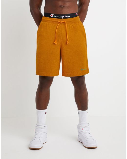 Champion Cotton Middleweight Overdye 