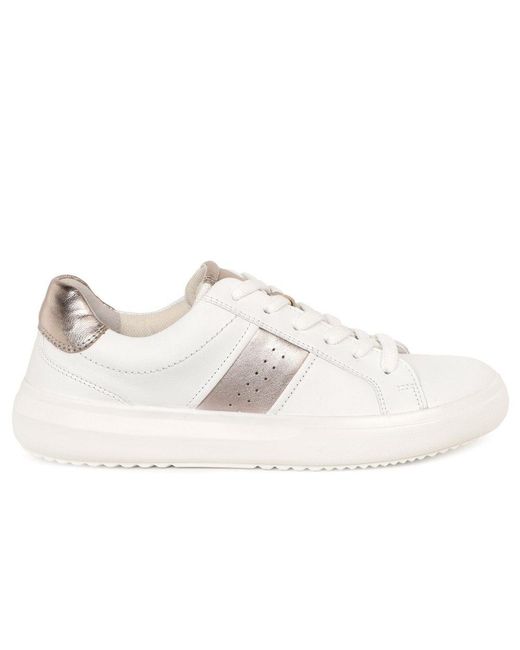Gabor White Jade Trainer