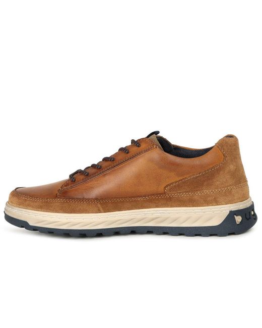 Bugatti Brown Craster Shoes for men