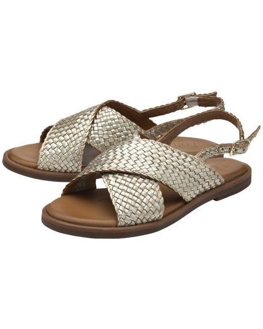 Lotus Brown Beatriz Sandals