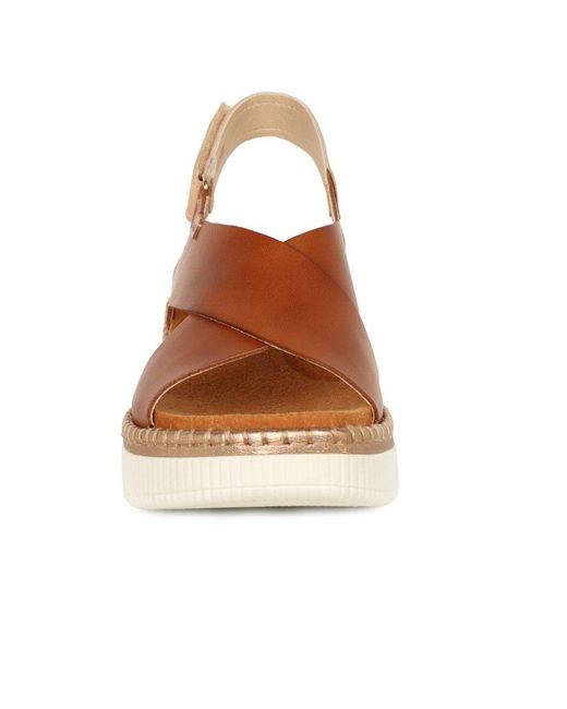 Pikolinos Brown Gomera Sandals