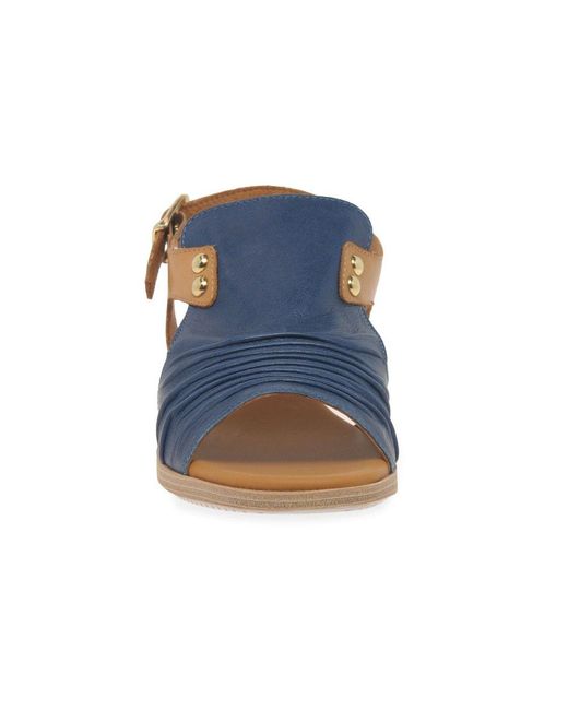 Paula Urban Blue Coastal Buckle Fastening Sandals