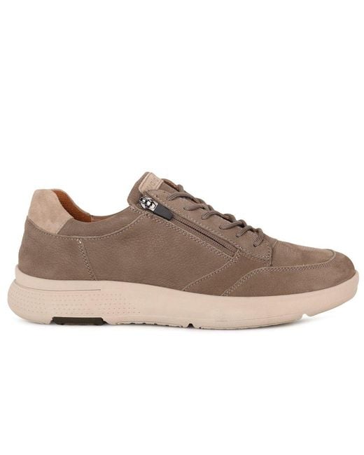 Waldläufer Brown Harry Shoes for men