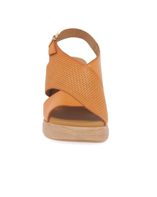 Paula Urban Brown Hideaway Sandals