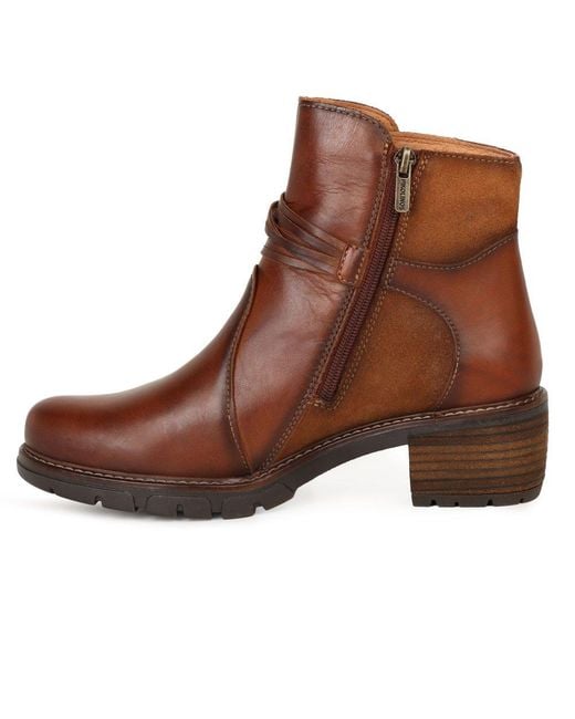 Pikolinos Brown Suzy Ankle Boots