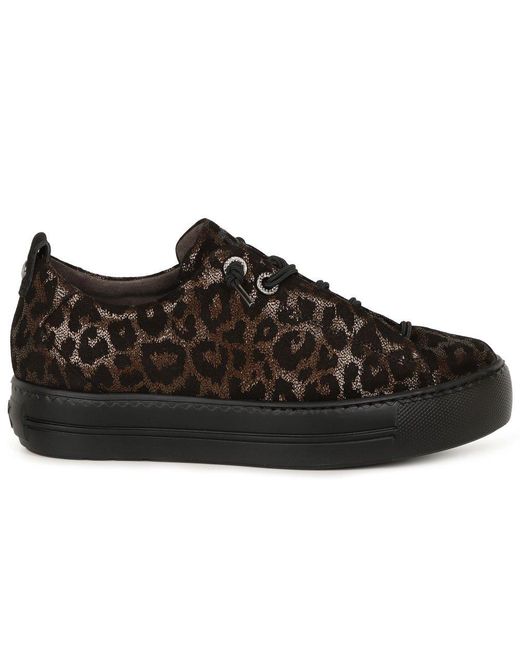 Paul Green Black Elina Trainers