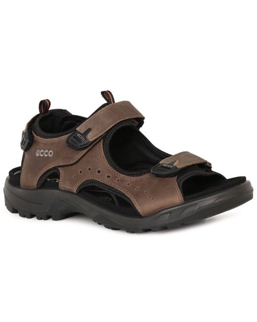 Ecco Brown Trail Casual Sandals for men