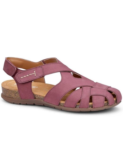 Hotter Purple Carpa Sandals