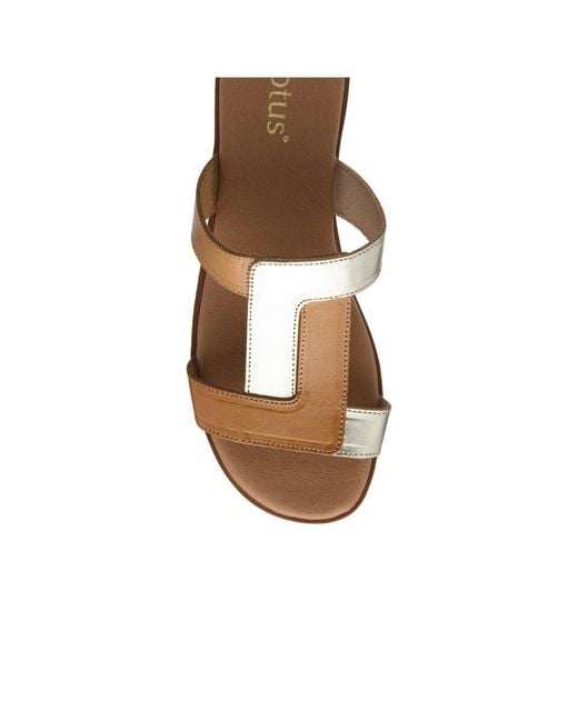 Lotus Brown Milena Sandals