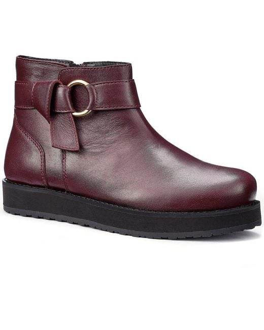 Hotter Purple Shauna Ankle Boots