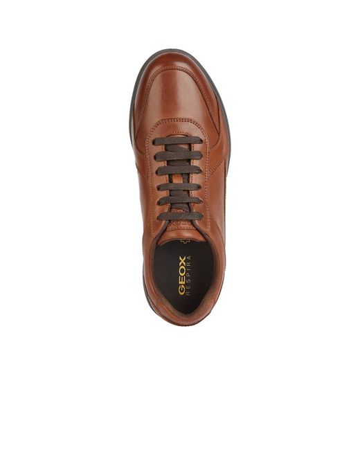Geox Brown U Spherica Ec12 Shoes for men