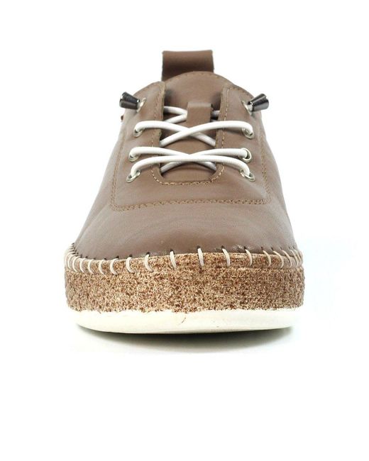 Lunar (GRS) Brown Evie Plimsoll Trainers