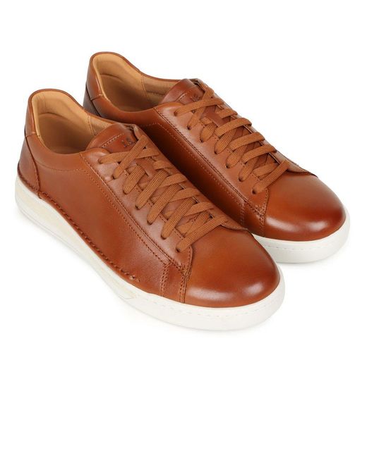 Josef Seibel Brown Cleve 02 Trainers for men