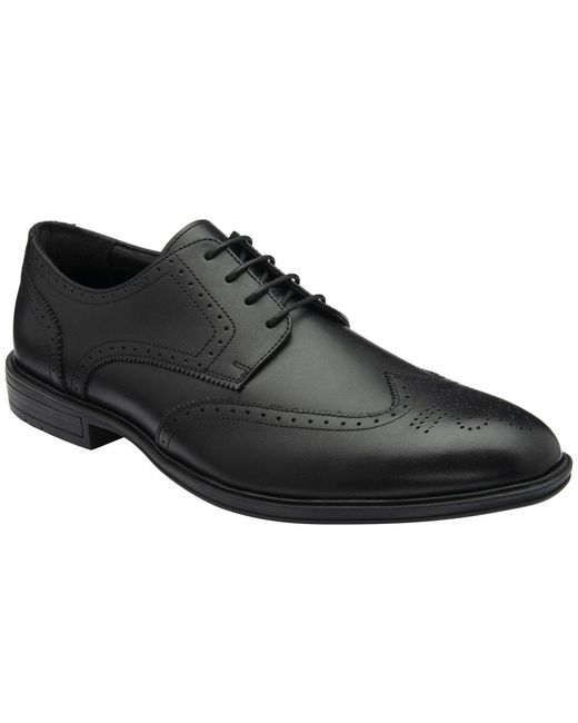 Lotus Black Skipton Brogues for men