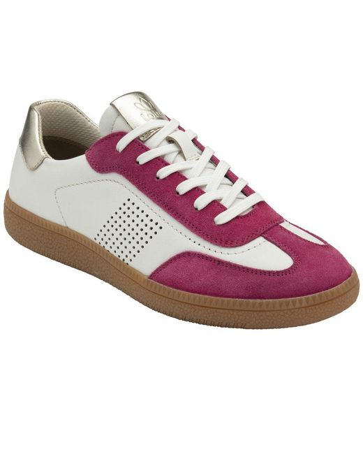 Lotus Purple Frapporta Trainers