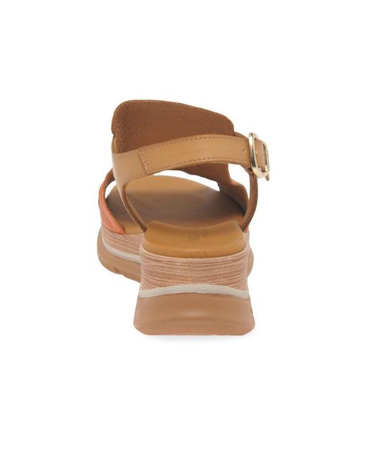 Paula Urban Brown Riviera Ii Sandals