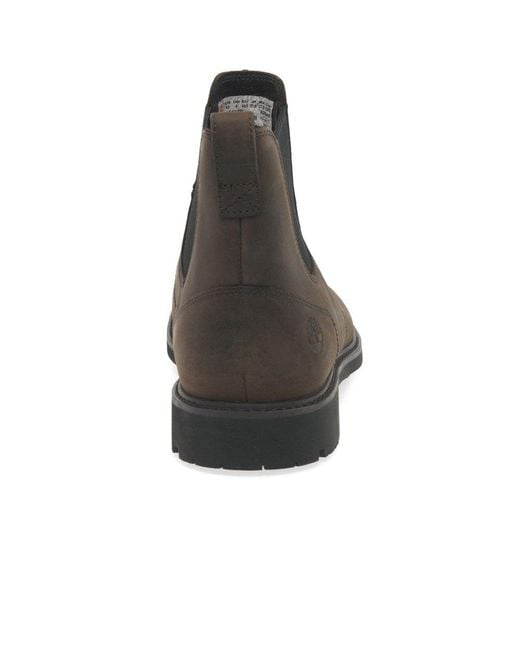 Timberland Brown Stormbuck Chelsea Boots for men