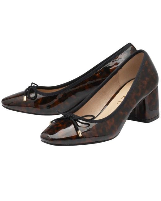 Ravel Black Darton Court Shoes