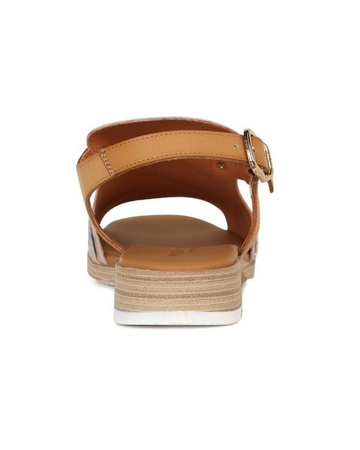 Paula Urban Brown Monte Carlo Sandals