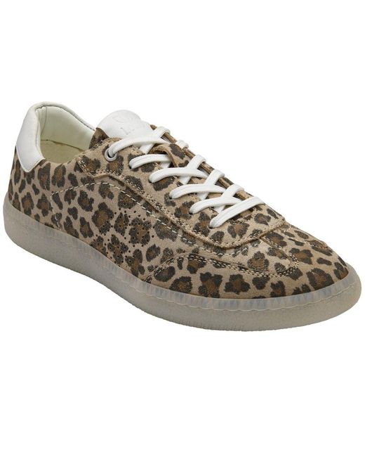 Lotus Multicolor Frapporta Trainers