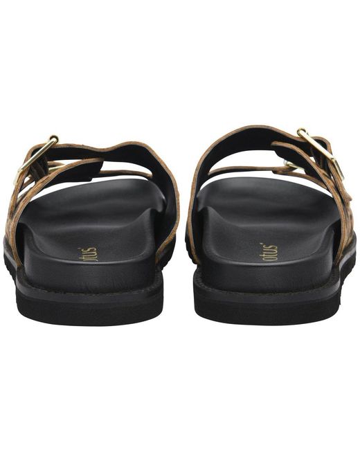 Lotus Black Conti Sandals