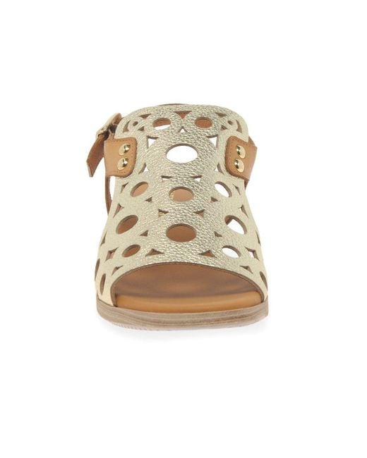 Paula Urban Brown Resort Sandals