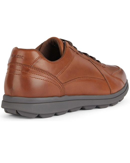 Geox Brown U Spherica Ec12 Shoes for men