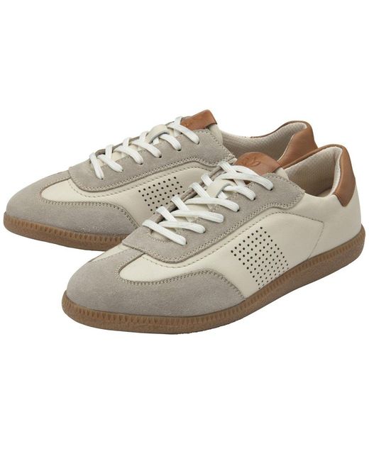 Lotus White Frapporta Trainers