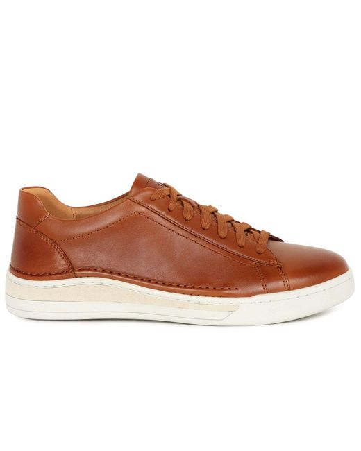 Josef Seibel Brown Cleve 02 Trainers for men